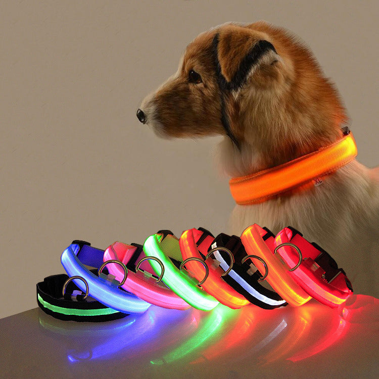 Sicherheits-LED-Hundehalsband